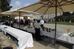 Fondazione Minoprio Fondazione Minoprio