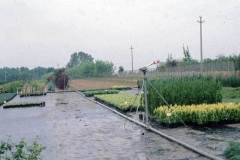 035